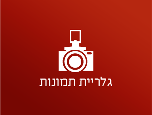 גלריות